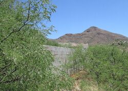 Rio Rico #29827784 Foreclosed Homes