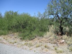 Rio Rico #29827786 Foreclosed Homes