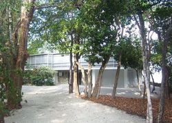  Gumbo Limbo Rd