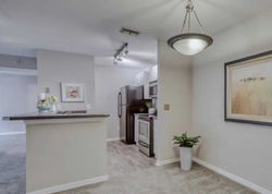  County Road 220 Apt 2