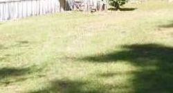  Dr Martin Luther King