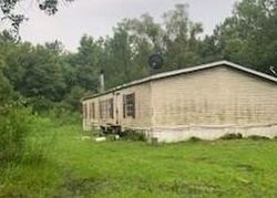  Osceola Trl