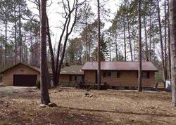 Cheboygan #30164012 Foreclosed Homes
