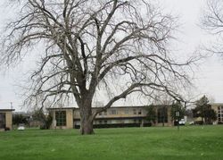  King Arthur Ct Apt 6