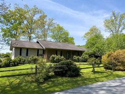 Maynardville #30187433 Foreclosed Homes