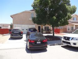  Carob St