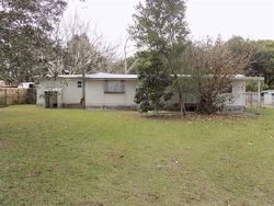 Zephyrhills