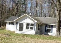 Tawas City #30432902 Foreclosed Homes