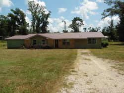  Tall Pine Dr