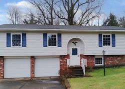 Saint Clairsville #30632806 Foreclosed Homes