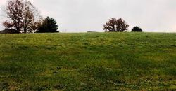 Rolling Prairie #30702678 Foreclosed Homes