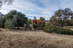  Austin Forest Cir # 8