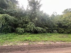 Interlachen #30752913 Foreclosed Homes