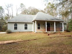  Horse Shoe Island Rd