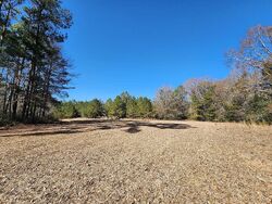  Rabbit Creek Rd