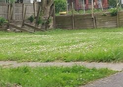  Jasper St