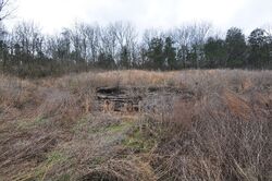 Nashville #30785589 Foreclosed Homes