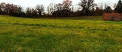 Rolling Prairie