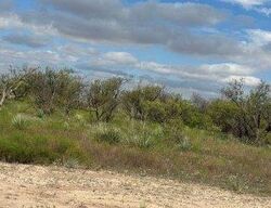 Talpa #30786061 Foreclosed Homes