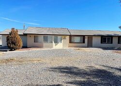 Appaloosa Ln