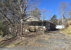 Spruce Pine