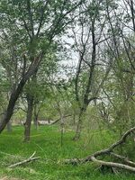 Austin #30814937 Foreclosed Homes