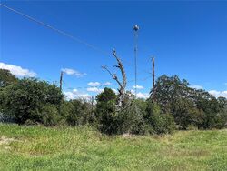Bastrop #30815174 Foreclosed Homes