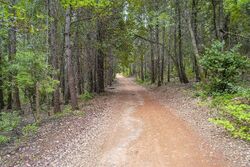  Long Point Rd