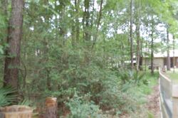 Firewood Rd