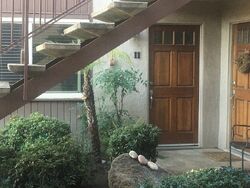  Alpine Blvd Unit 11