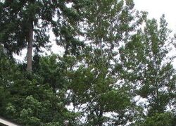 Auburn #30909999 Foreclosed Homes