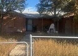 Muleshoe