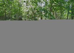 Asheville #30946446 Foreclosed Homes