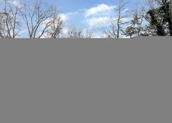 Villa Rica #30972990 Foreclosed Homes