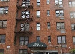 Bronx