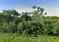  Se Giffen Avenue