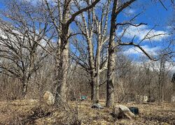  Vassar Rd