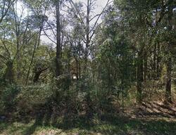 Pensacola #31104668 Foreclosed Homes