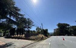 Los Gatos