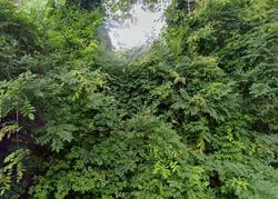  Arbutus Path