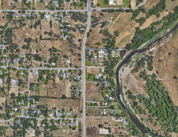 Palo Cedro