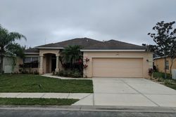  Suncoast Lakes Blvd