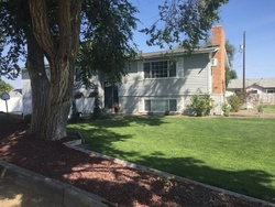  Bower Ave