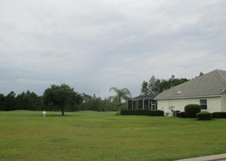  Lionspaw Grand