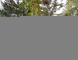  Twin Lakes Rd Apt 22