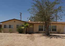 Mojave