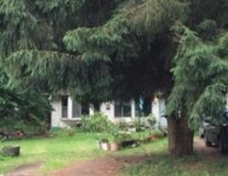  42nd Street Ct E