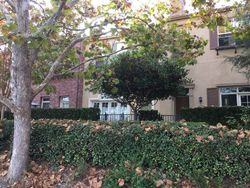  Georgetown Pl