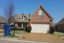  Tulip Hill Dr