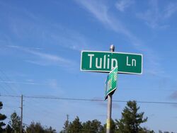  Tulip Ln
